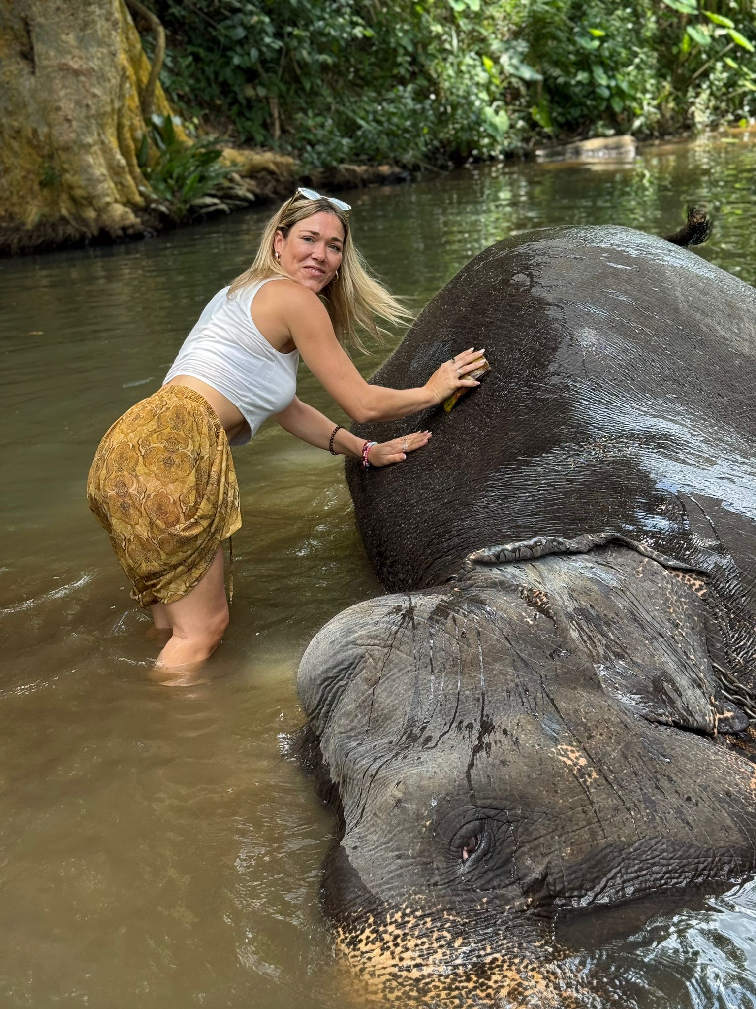 Beautiful Sri Lankan landscape and scenery